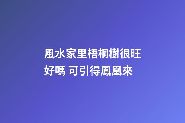風水家里梧桐樹很旺好嗎 可引得鳳凰來
